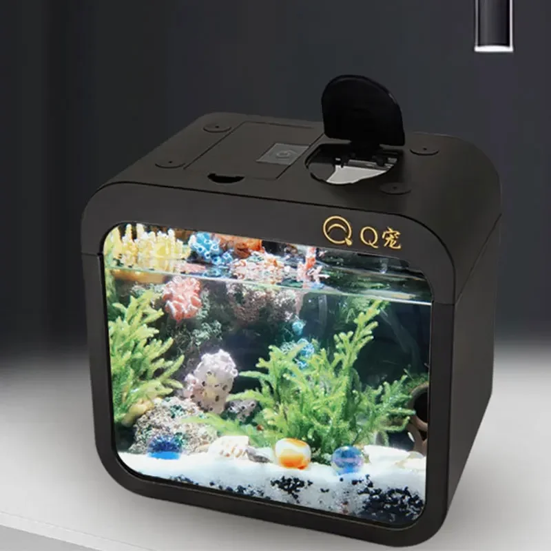 Aquarium Fish Goldfish - Acquario da Tavolo in Acrilico Trasparente,
