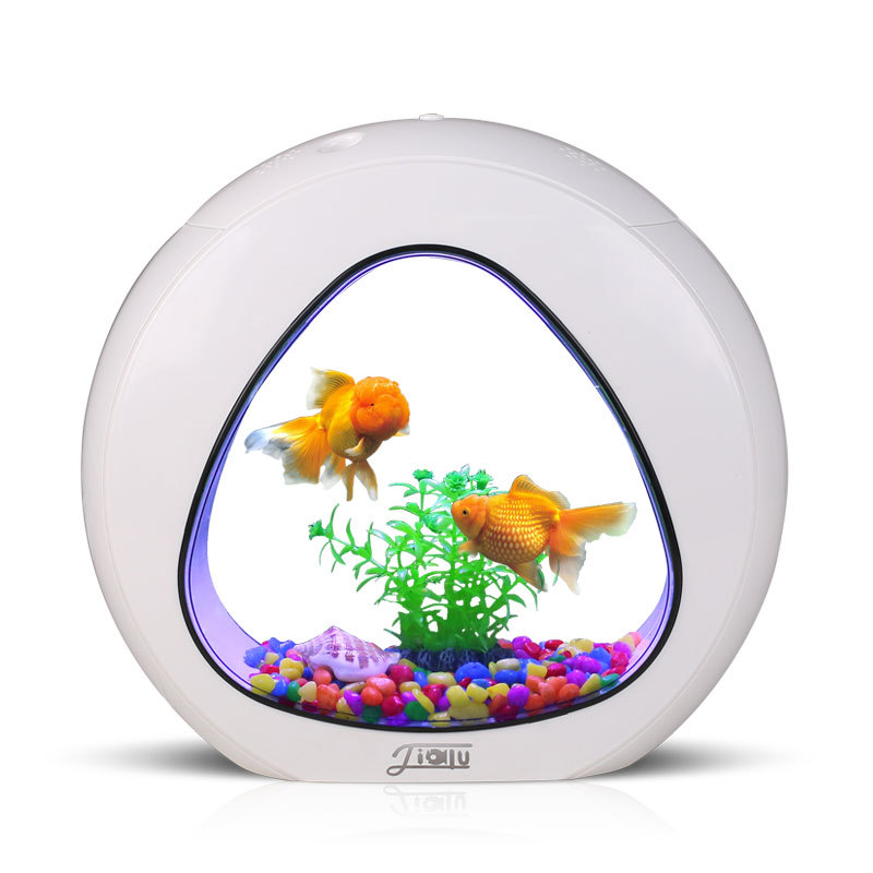 Aquarium Fish Delivery - Jialu creativo desktop acquario acquario piccolo