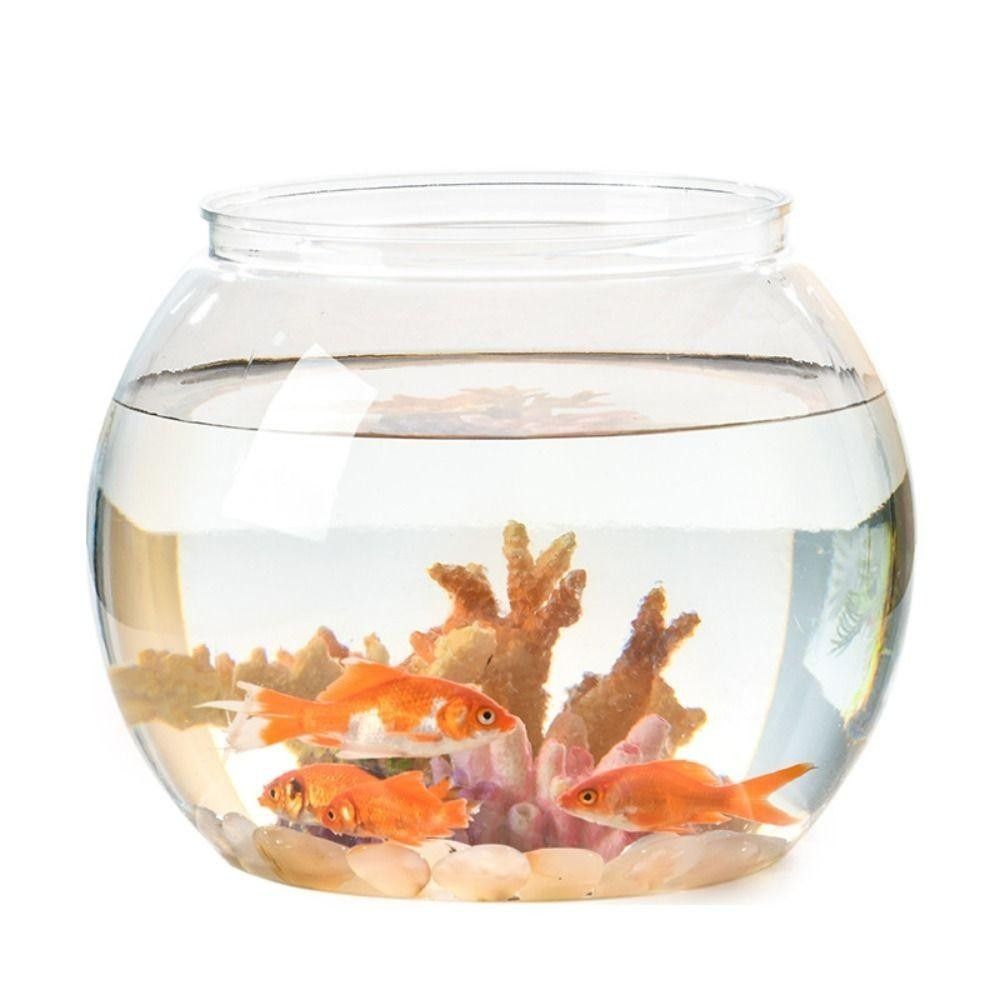 Aquarium Fish Goldfish - Acquario Portatile Trasparente Rotondo Infrangibile in