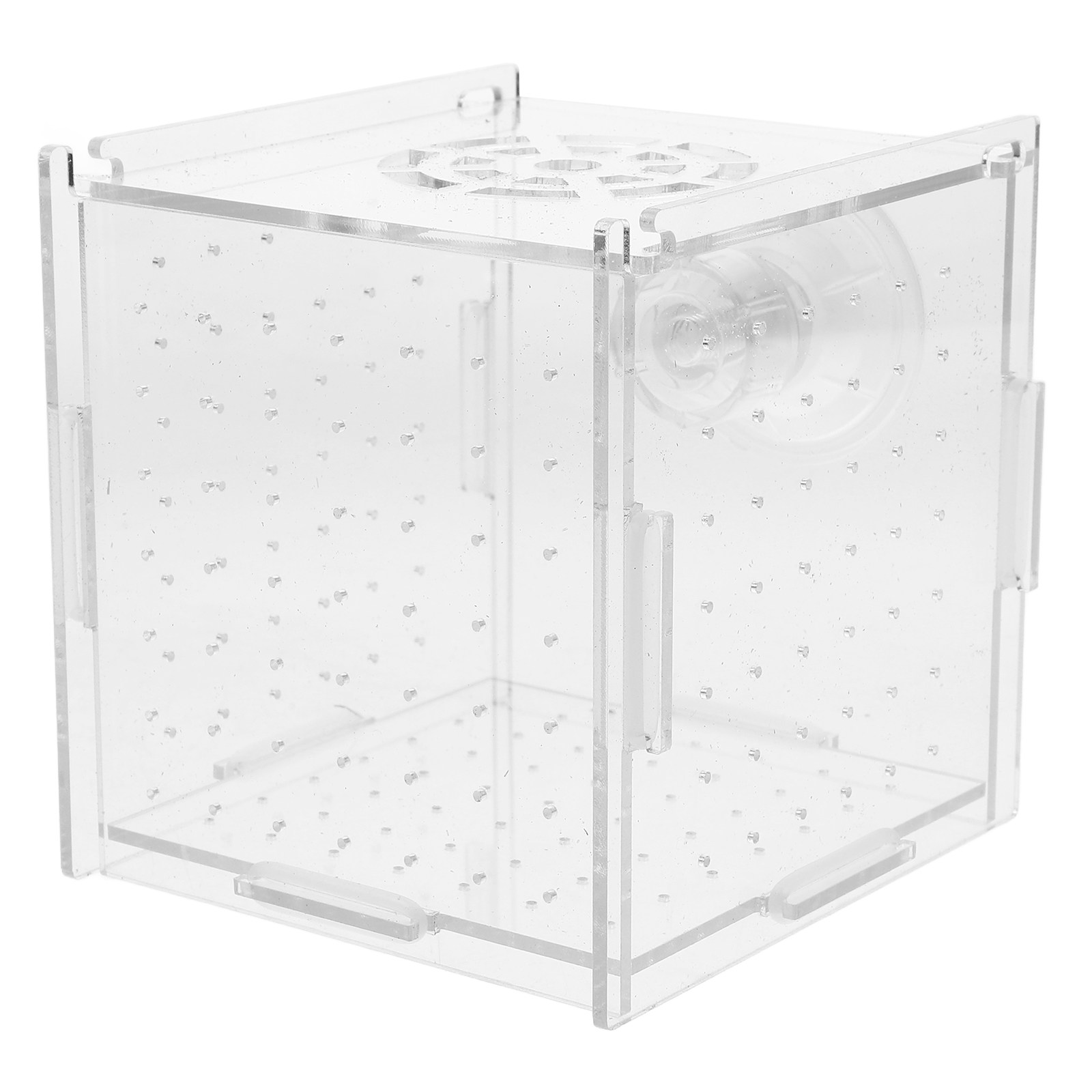 Fish Toy In Aquarium - Scatola di Isolamento per l'Allevamento dei