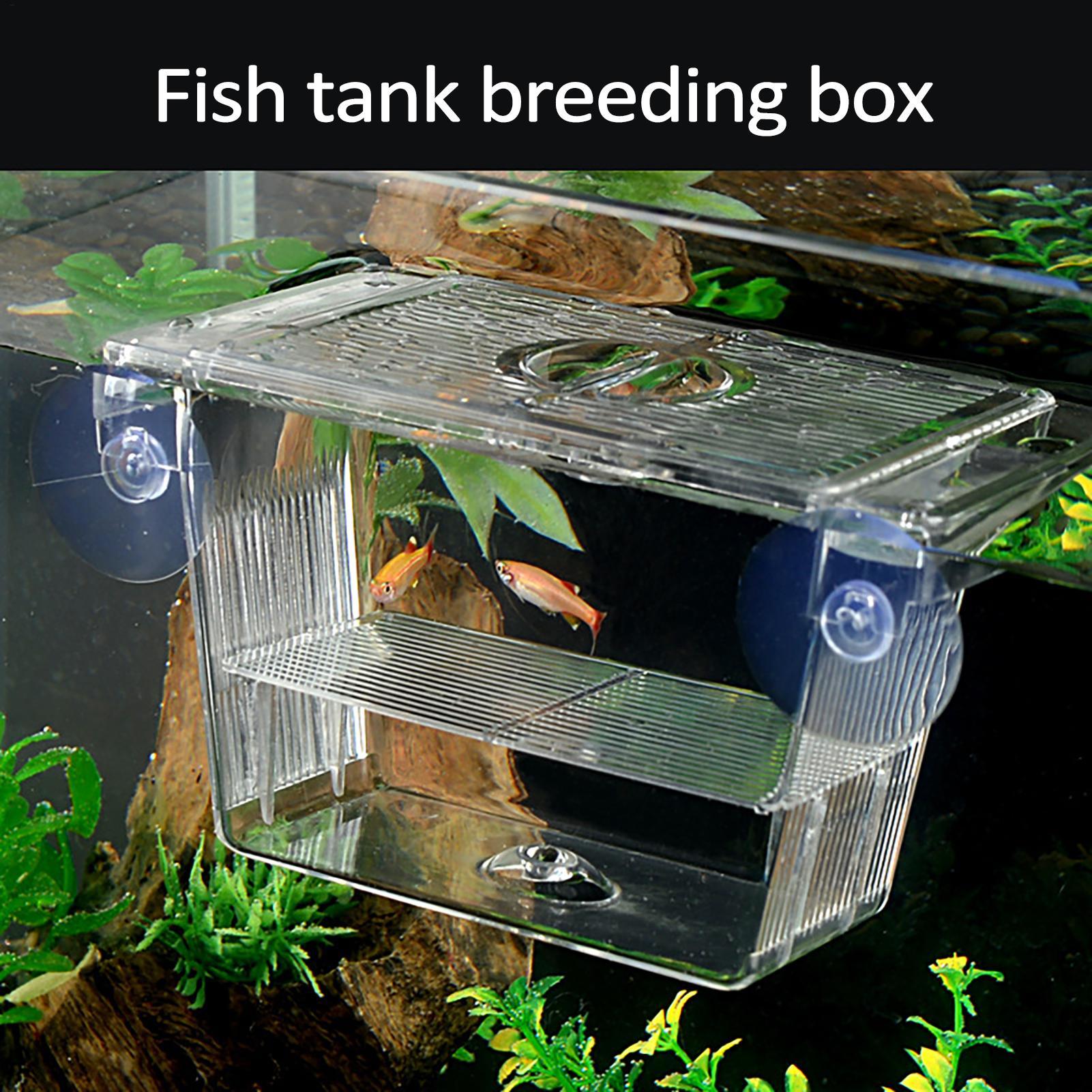 Fish Toy In Aquarium - Box per Allevamento Pesci, Scatola Trasparente