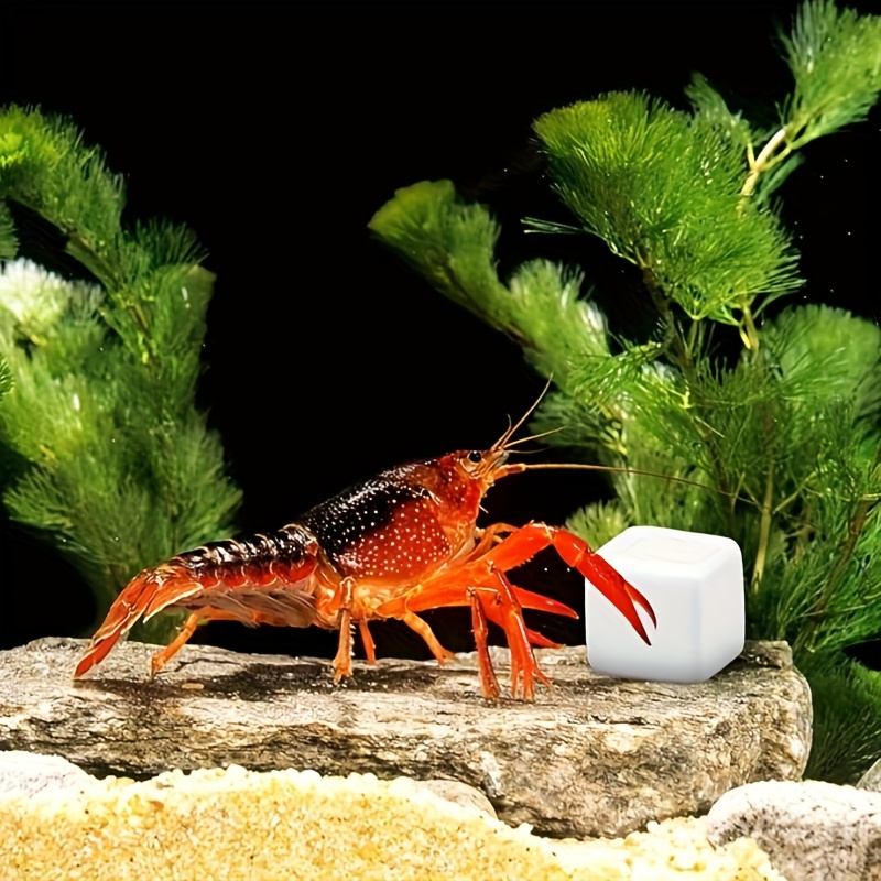 Aquarium Fish Background - 6 pezzi acquario calcio blocco minerali