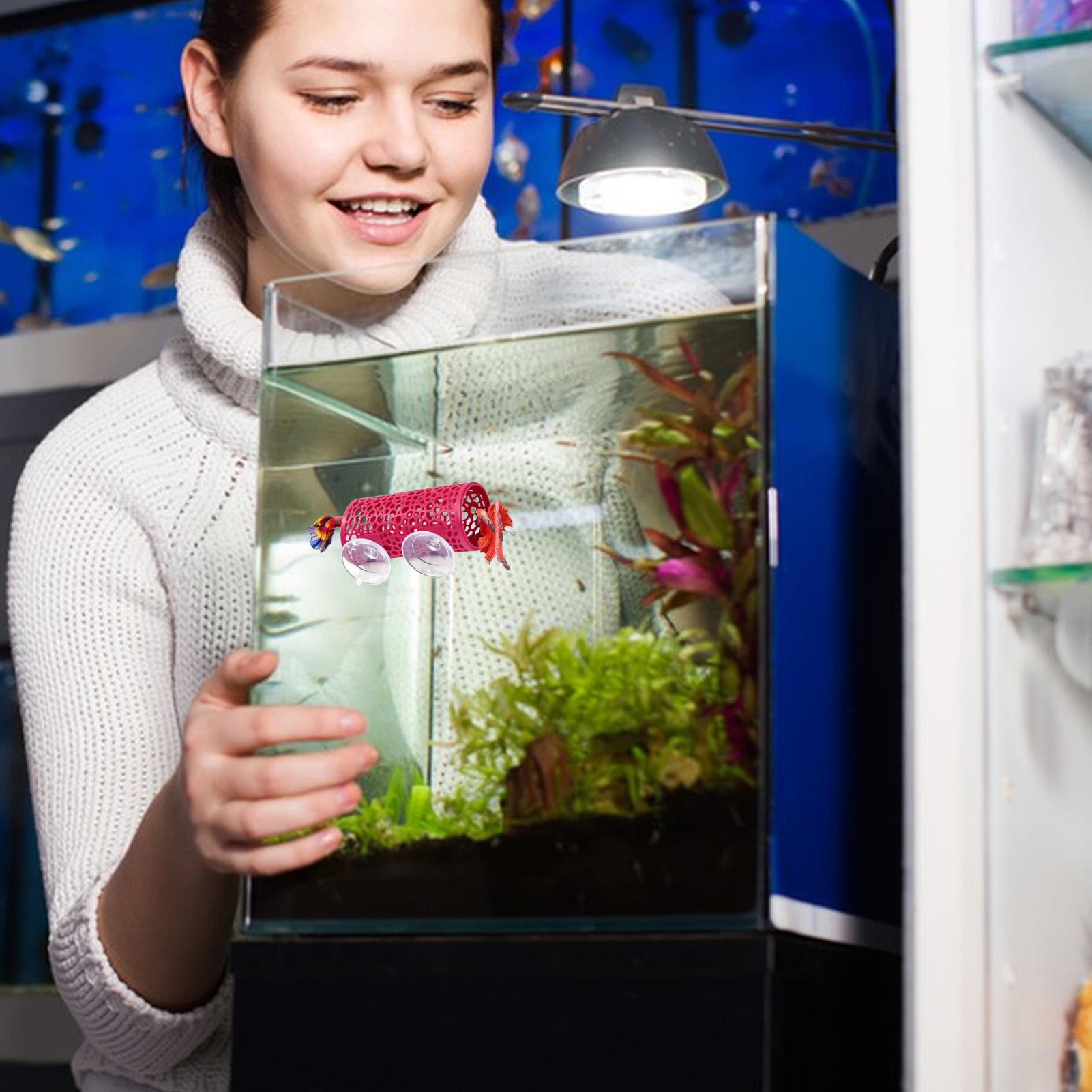 Tunnel Giocattolo per Pesci Be - Aquarium Fish Small recensione e prezzo