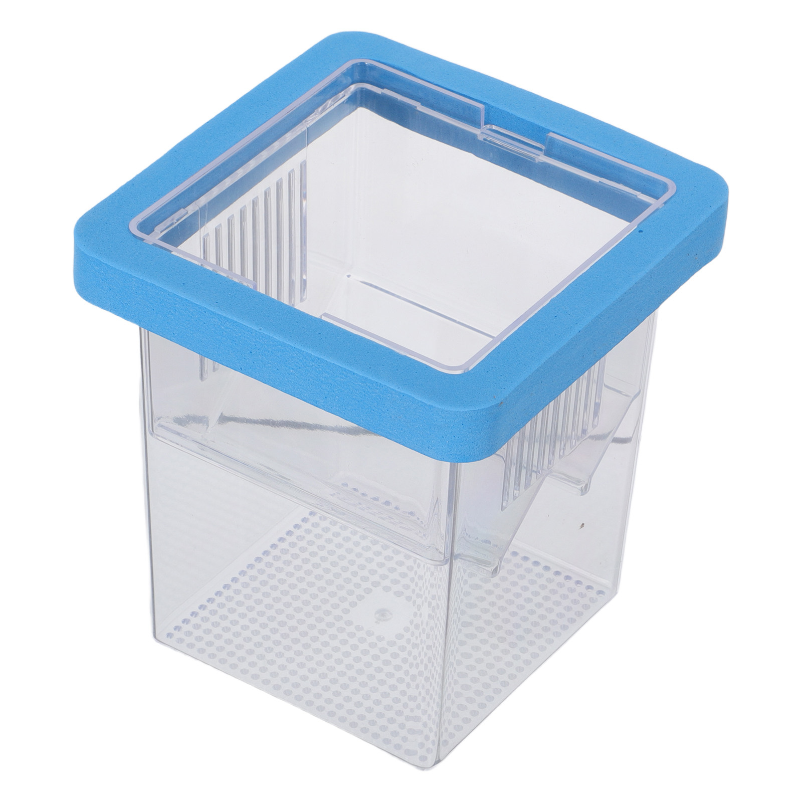 Contenitore Galleggiante per l - Fish Toy In Aquarium recensione e prezzo