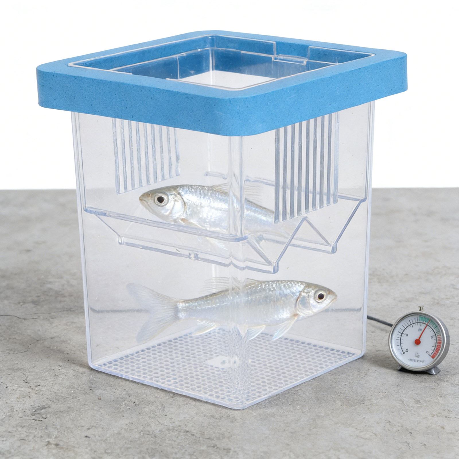 Contenitore Galleggiante per l - Fish Toy In Aquarium recensione e prezzo