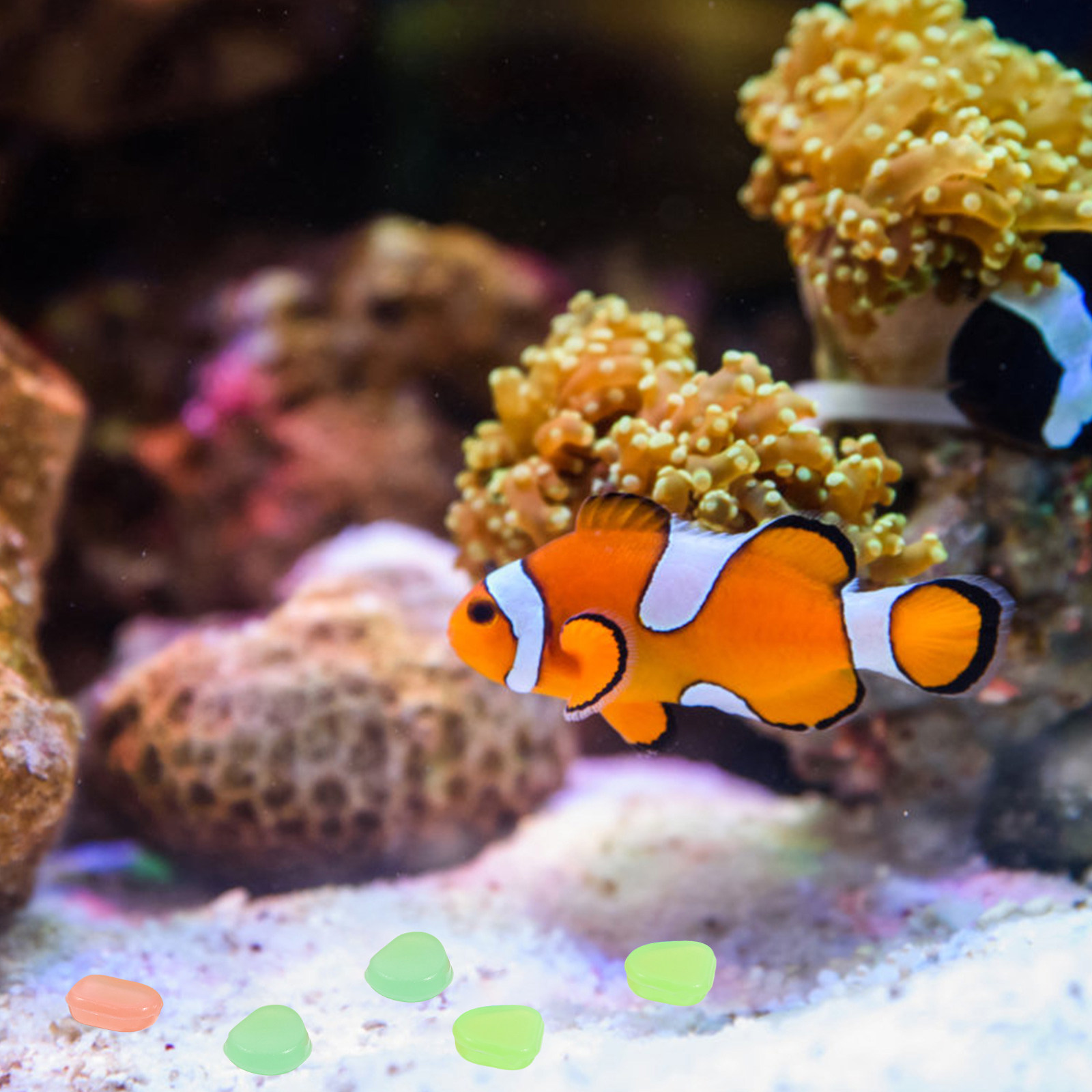 400 Pezzi di Ciottoli Luminosi - Aquarium Decoration Rock recensione e prezzo