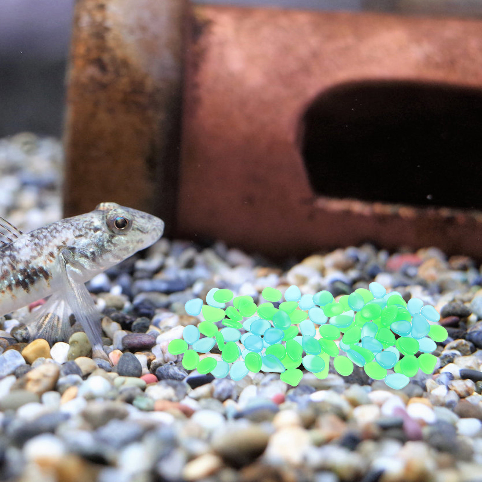 100 Pezzi di Ciottoli Luminosi - Aquarium Decoration Rock recensione e prezzo