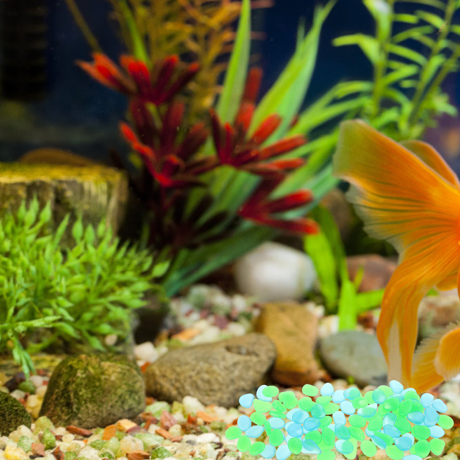 100 Pezzi di Ciottoli Luminosi - Aquarium Decoration Rock recensione e prezzo