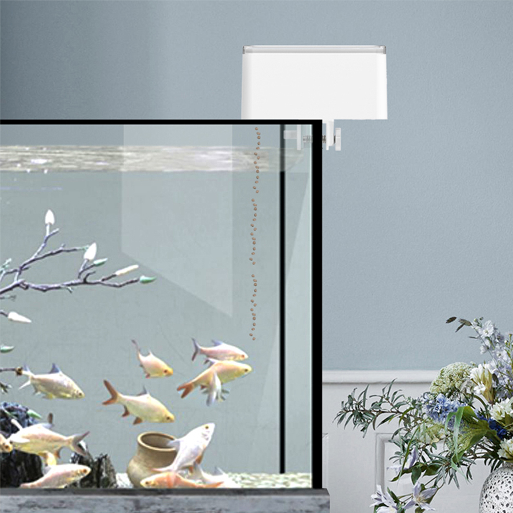 Alimentatore per pesci di gran - Aquarium Fish Goldfish recensione e prezzo