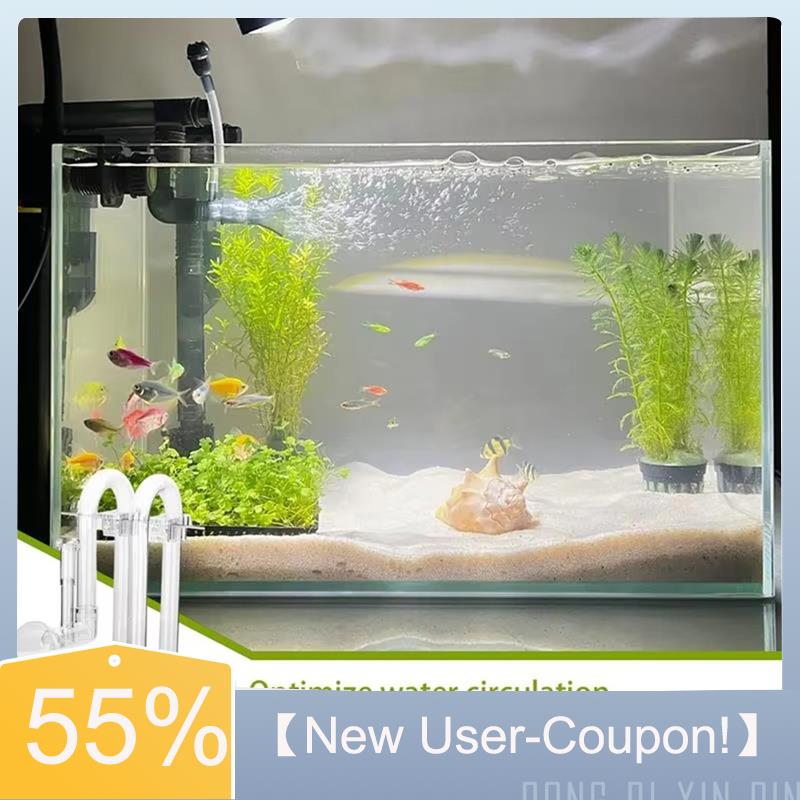 【Consegna veloce】Set di ingres - Aquarium Fish Delivery recensione e prezzo