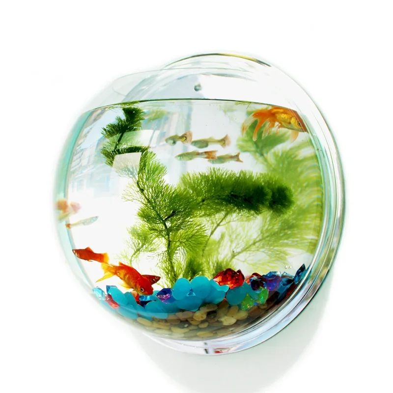 Pinsjar Ciotola per pesci in a - Aquarium Fish Background recensione e prezzo