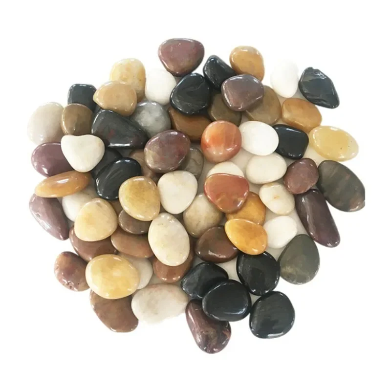 250g 500g Natural Aquarium Dec - Aquarium Fish Background recensione e prezzo