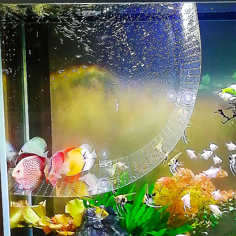 Raccordo per paratia pieghevol - Aquarium Fish Background recensione e prezzo