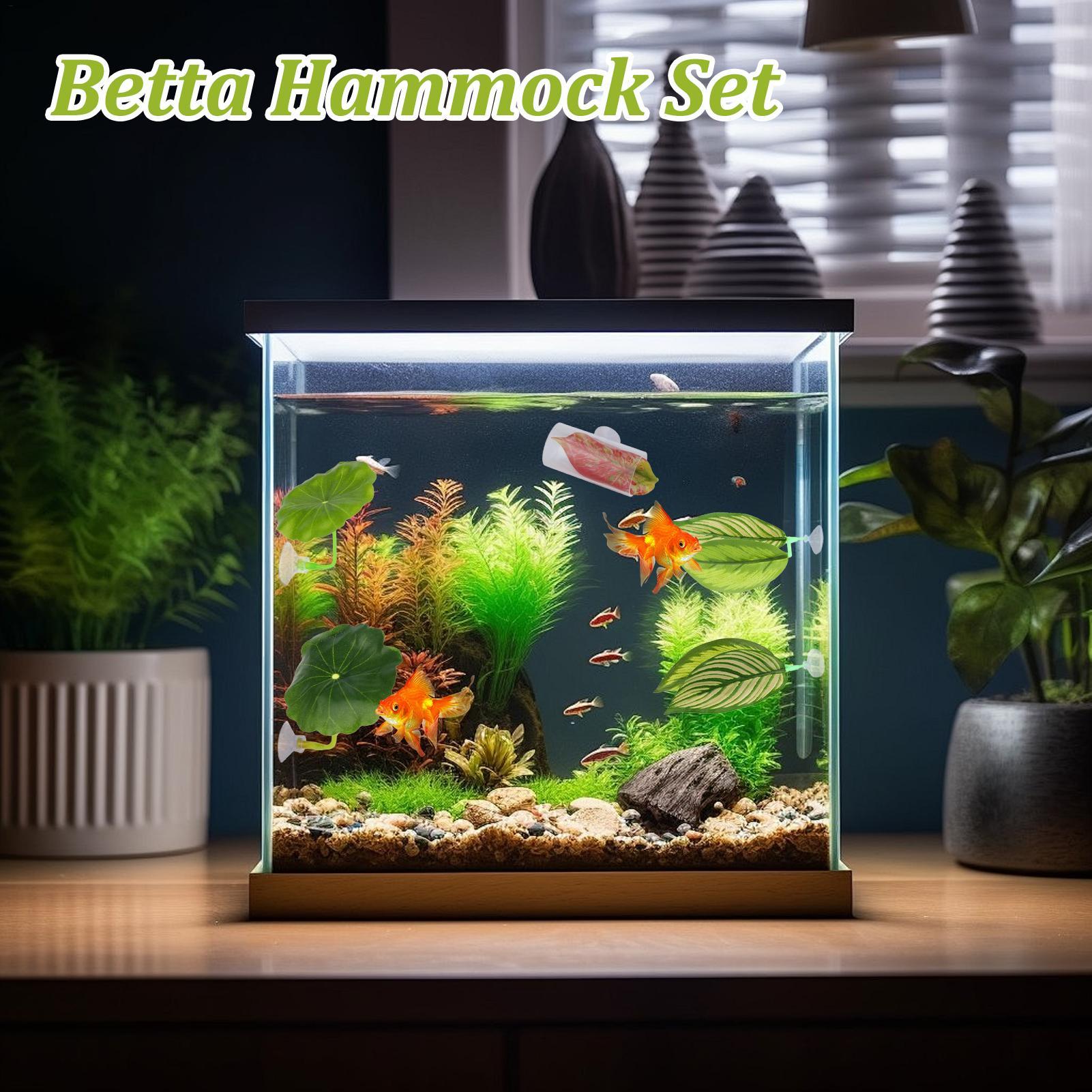 Amaca per pesci Betta 5 pezzi  - Fish Toy In Aquarium recensione e prezzo