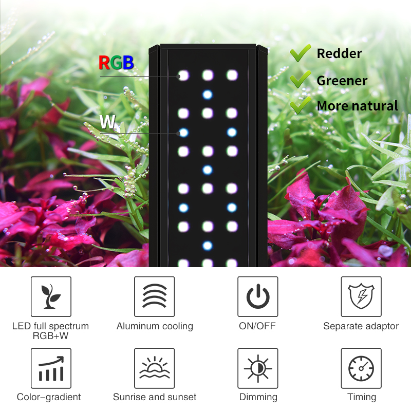 ZXY WEEKAQUA V300SE Miglior Pr - Aquarium Fish Price recensione e prezzo