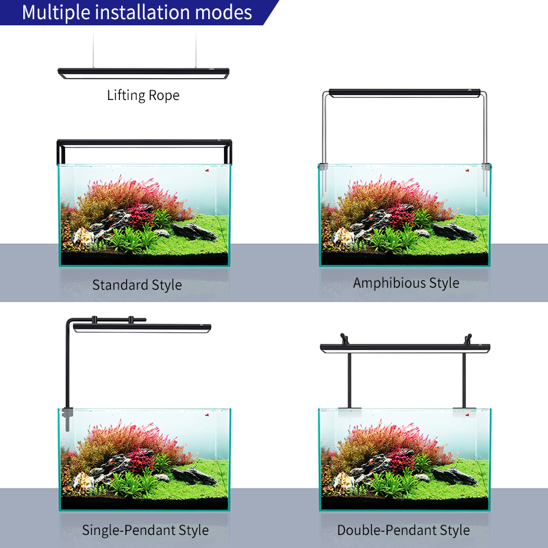 ZXY WEEKAQUA V300SE Miglior Pr - Aquarium Fish Price recensione e prezzo