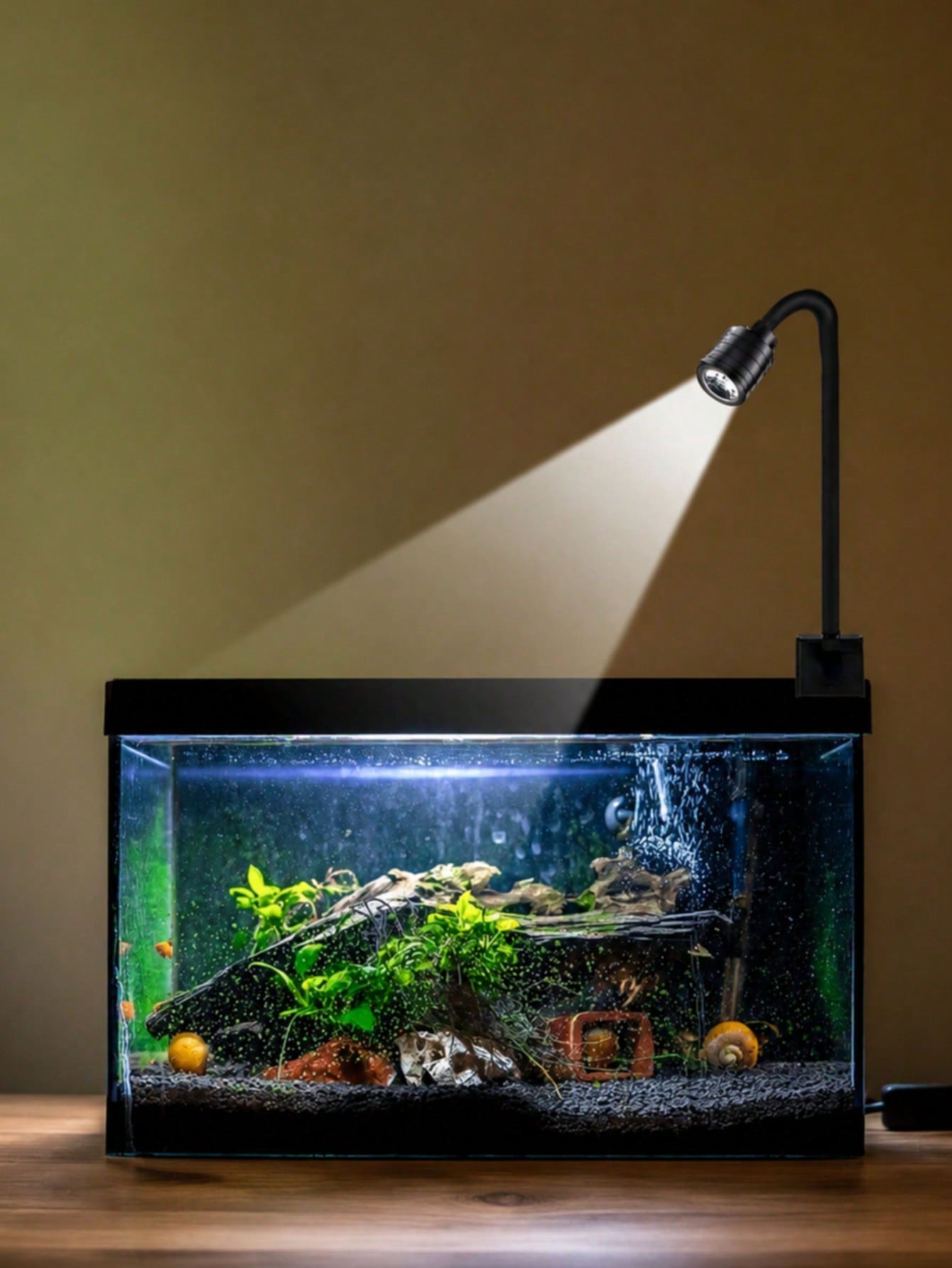 Luci USB per acquario, faretti - Aquarium Fish Goldfish recensione e prezzo