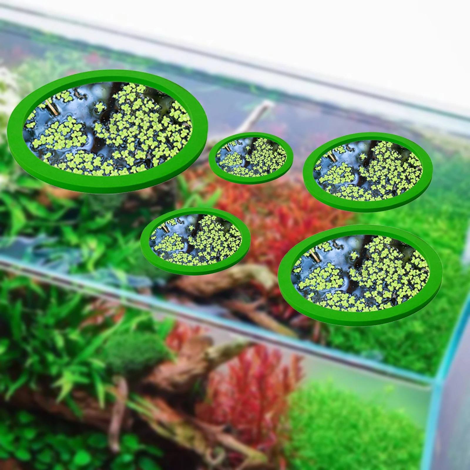 5 pz EVA Anello di Alimentazio - Aquarium Fishing recensione e prezzo
