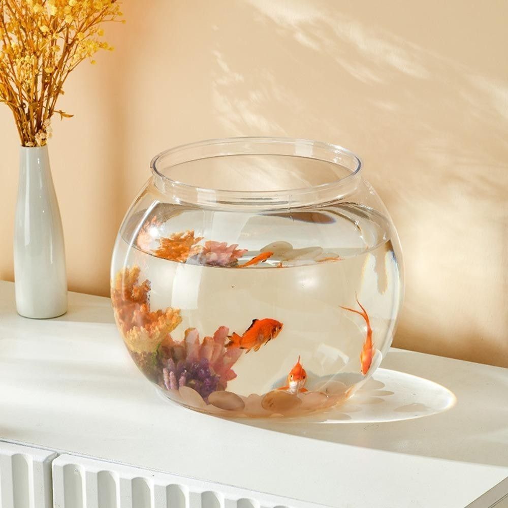 Acquario Portatile Trasparente - Aquarium Fish Goldfish recensione e prezzo
