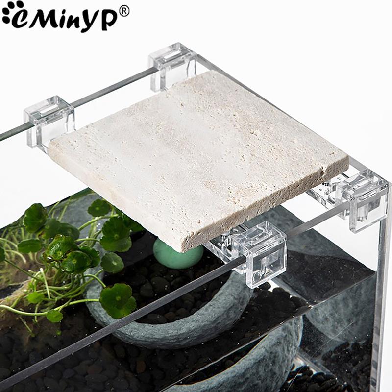 4 pezzi clip acriliche per acq - Aquarium Fish Background recensione e prezzo