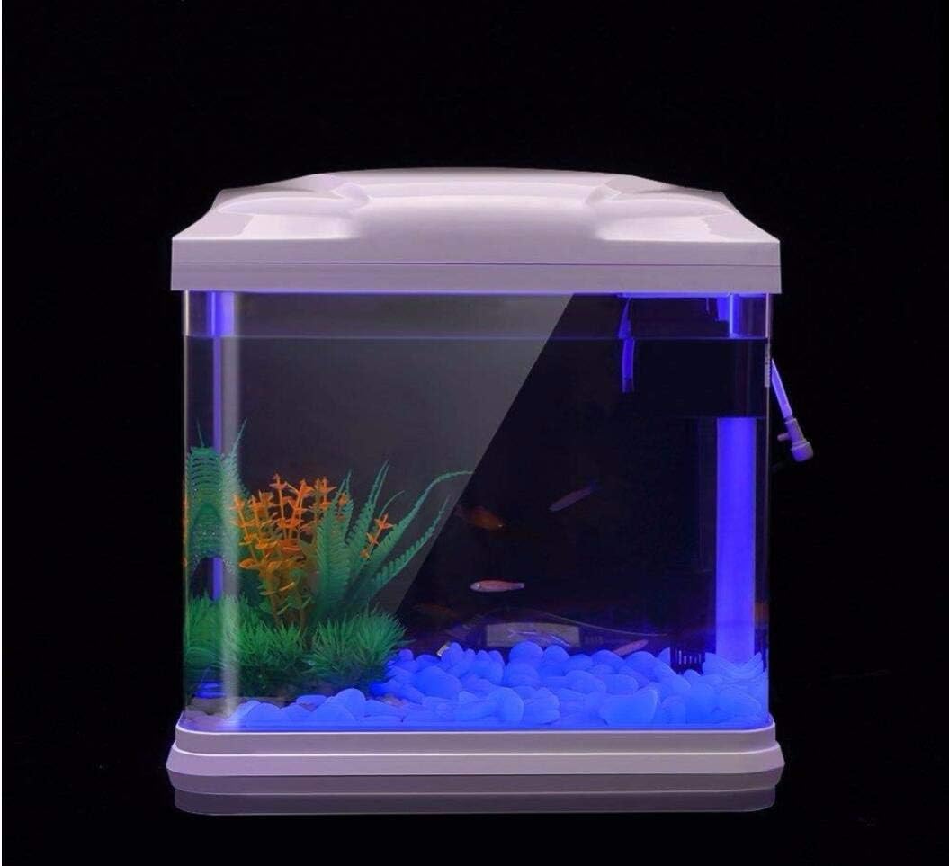 Rocce per acquari che si illum - Aquarium Fishing recensione e prezzo