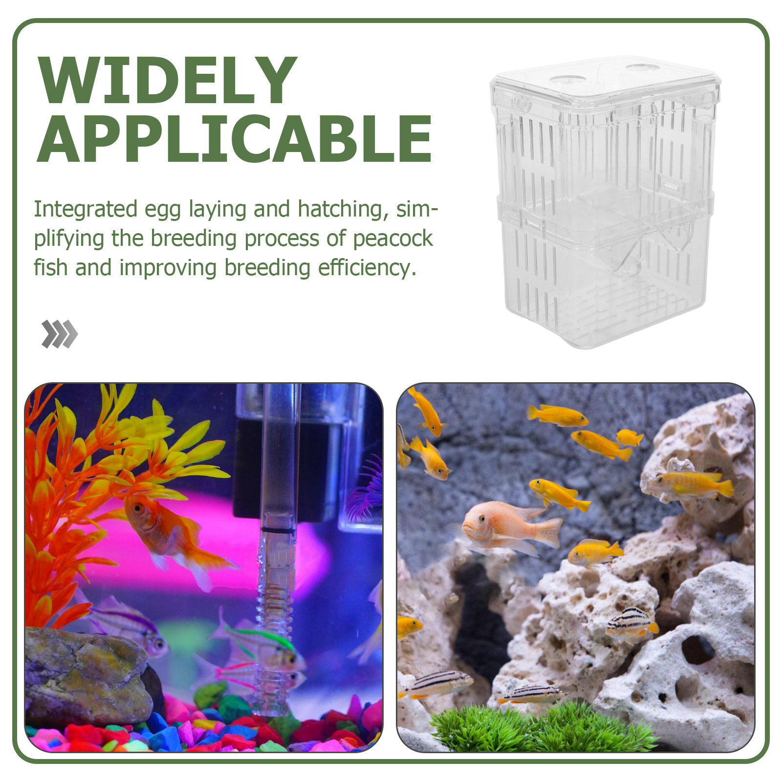 2 Pezzi Scatola per l'Allevame - Fish Toy In Aquarium recensione e prezzo