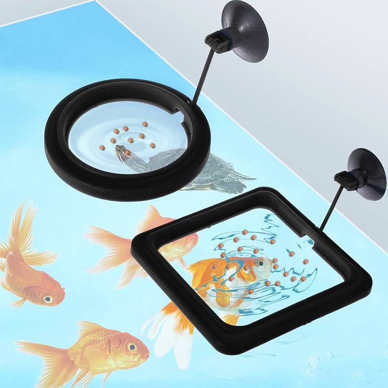Anello Galleggiante per Alimen - Aquarium Fish Price recensione e prezzo