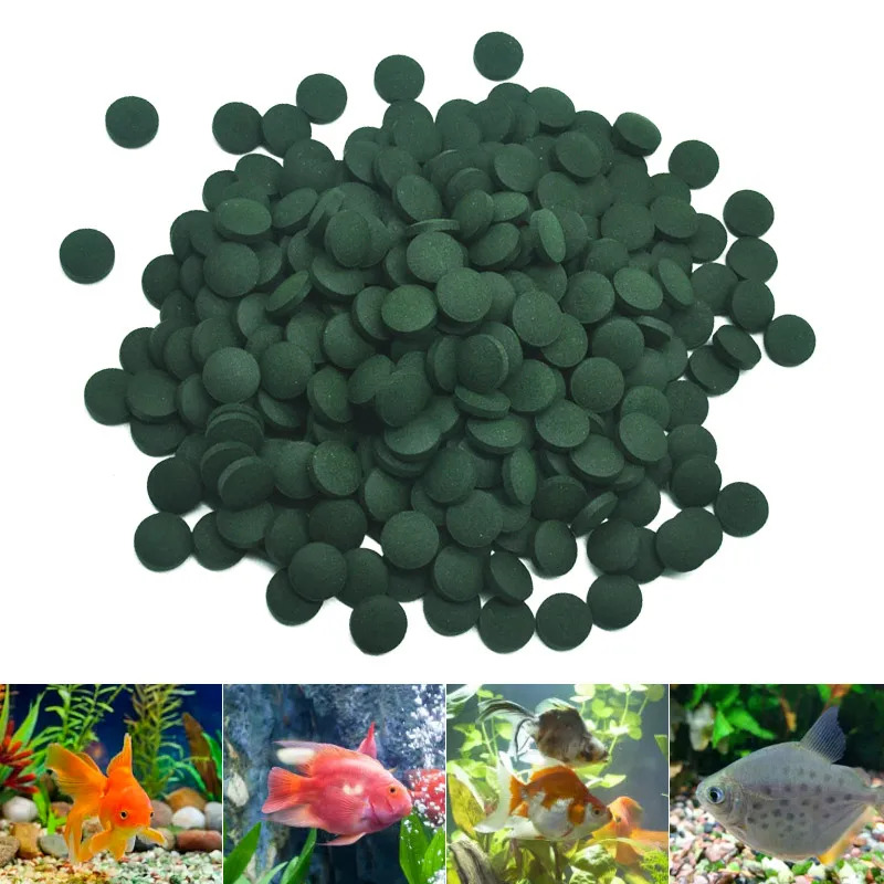 50-300 pz compresse di spiruli - Aquarium Fish Price recensione e prezzo