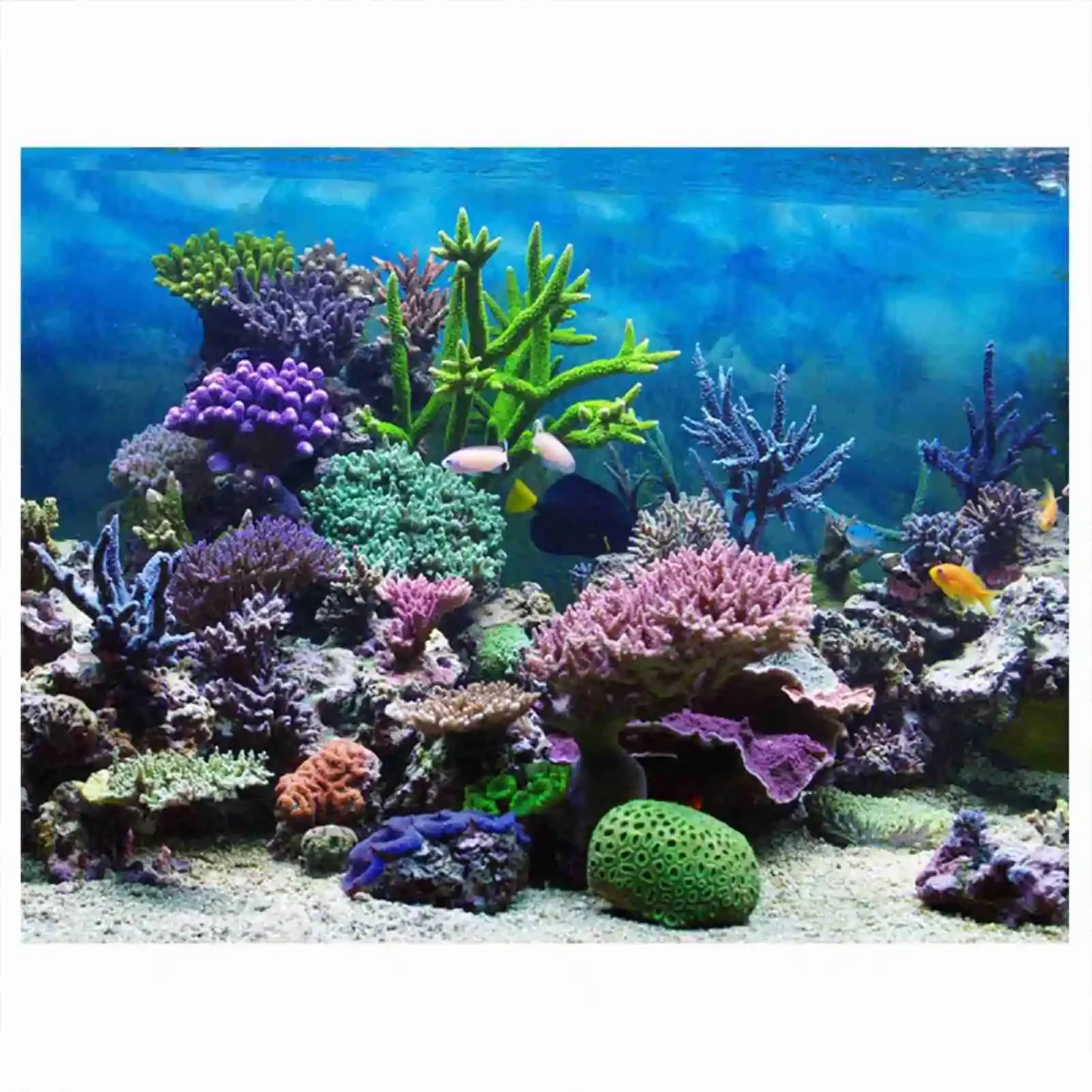 3D acquario paesaggio Poster f - Aquarium Fish Background recensione e prezzo