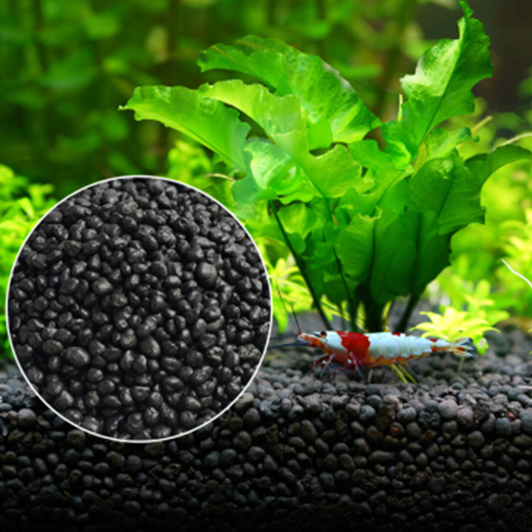 Acquario semi di piante terren - Aquarium Fish Background recensione e prezzo