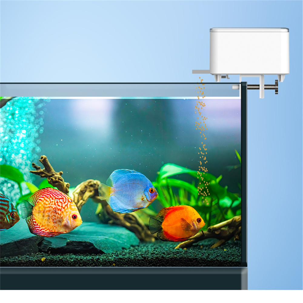 Alimentatore automatico intell - Aquarium Fish Goldfish recensione e prezzo