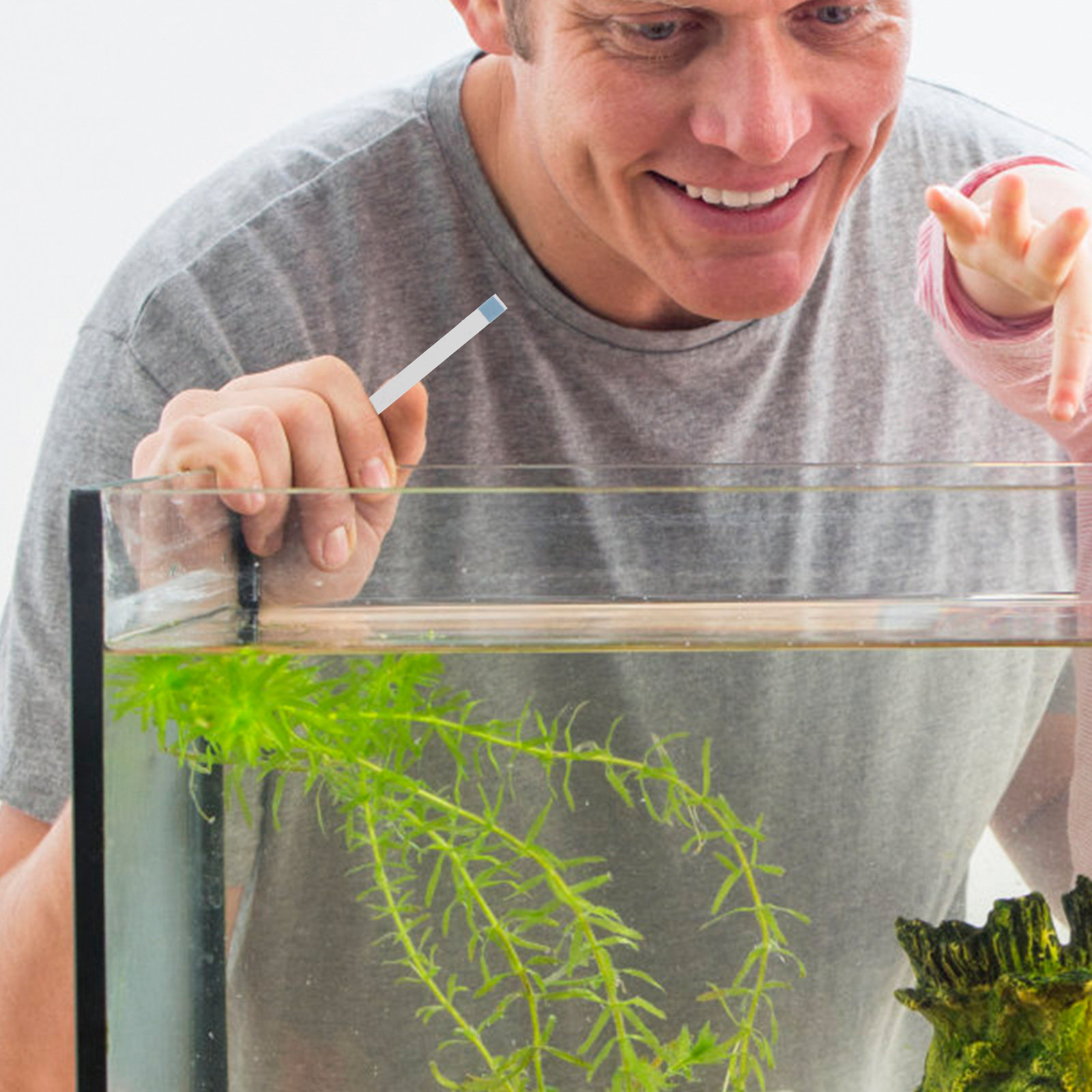 Strisce per Test Piscina, Test - Aquarium Test Kit recensione e prezzo