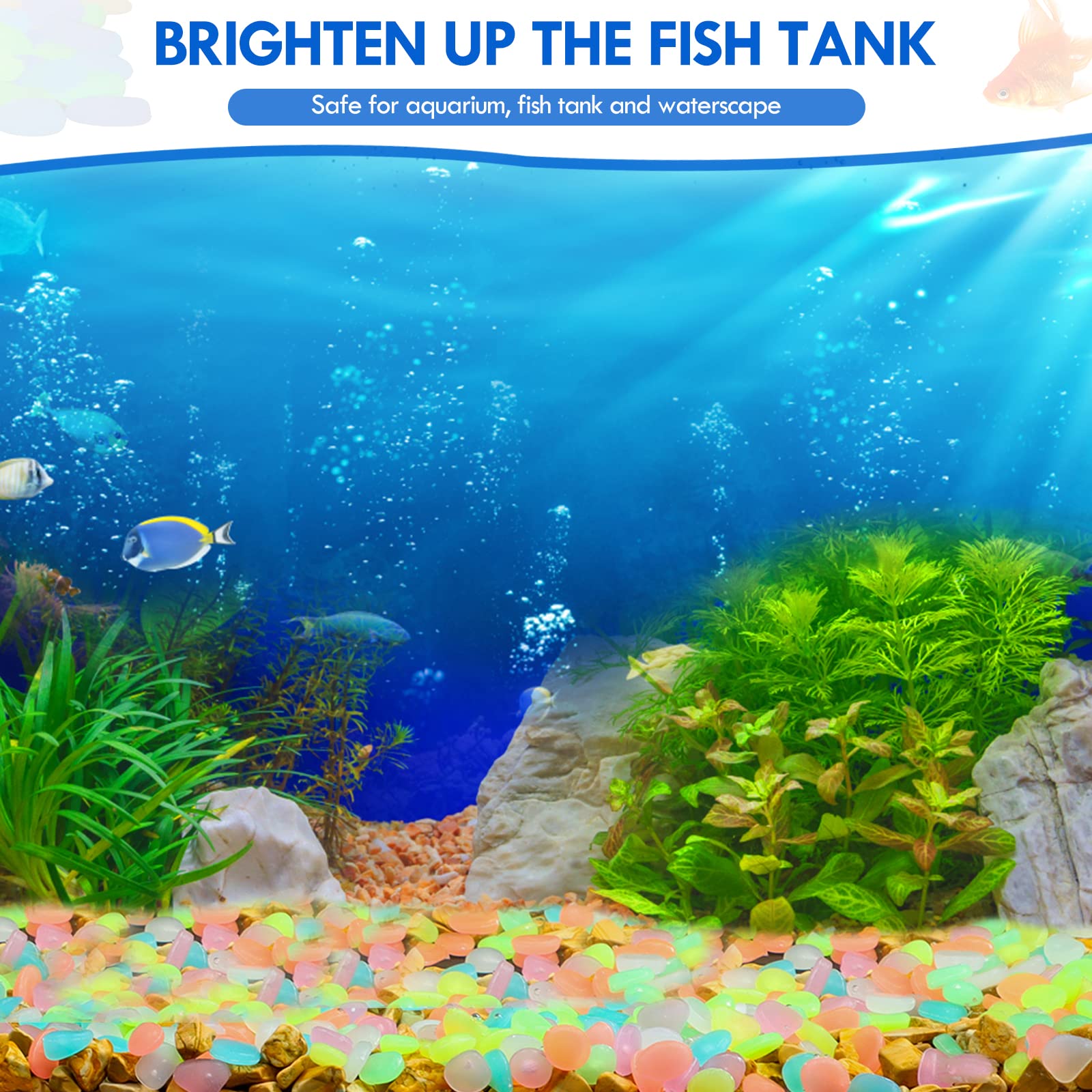 100 pezzi che si illuminano al - Aquarium Fishing recensione e prezzo