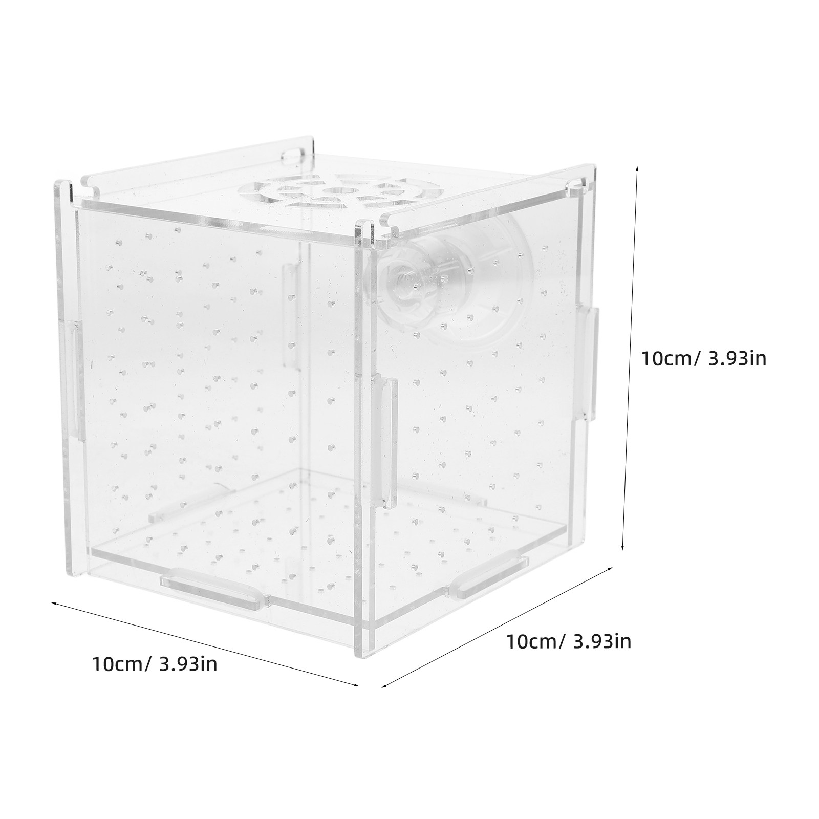 Scatola di Isolamento per l'Al - Fish Toy In Aquarium recensione e prezzo