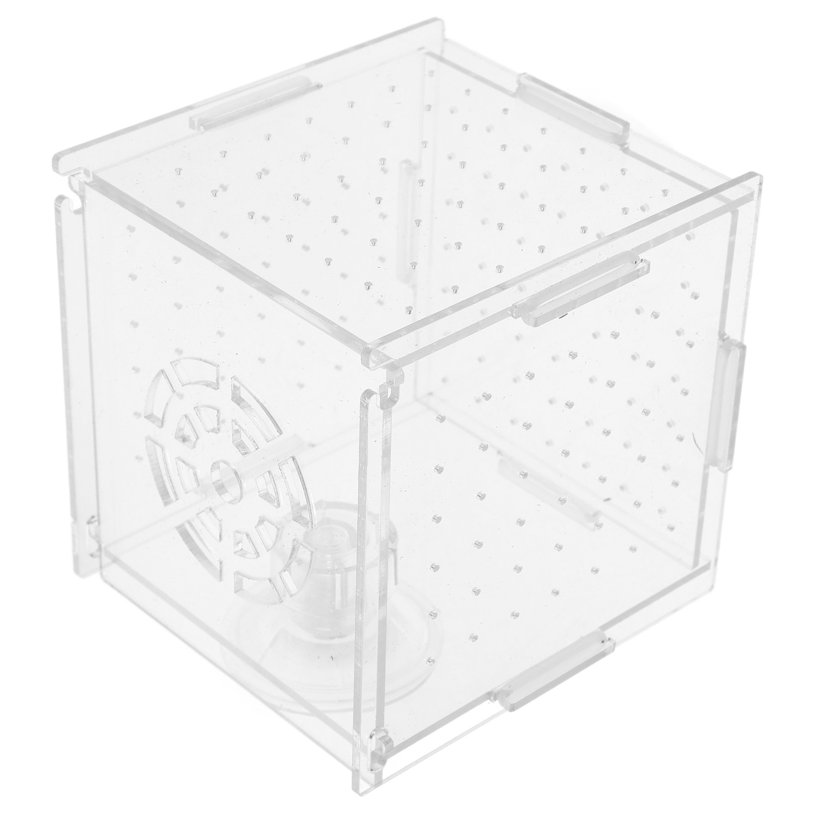 Scatola di Isolamento per l'Al - Fish Toy In Aquarium recensione e prezzo