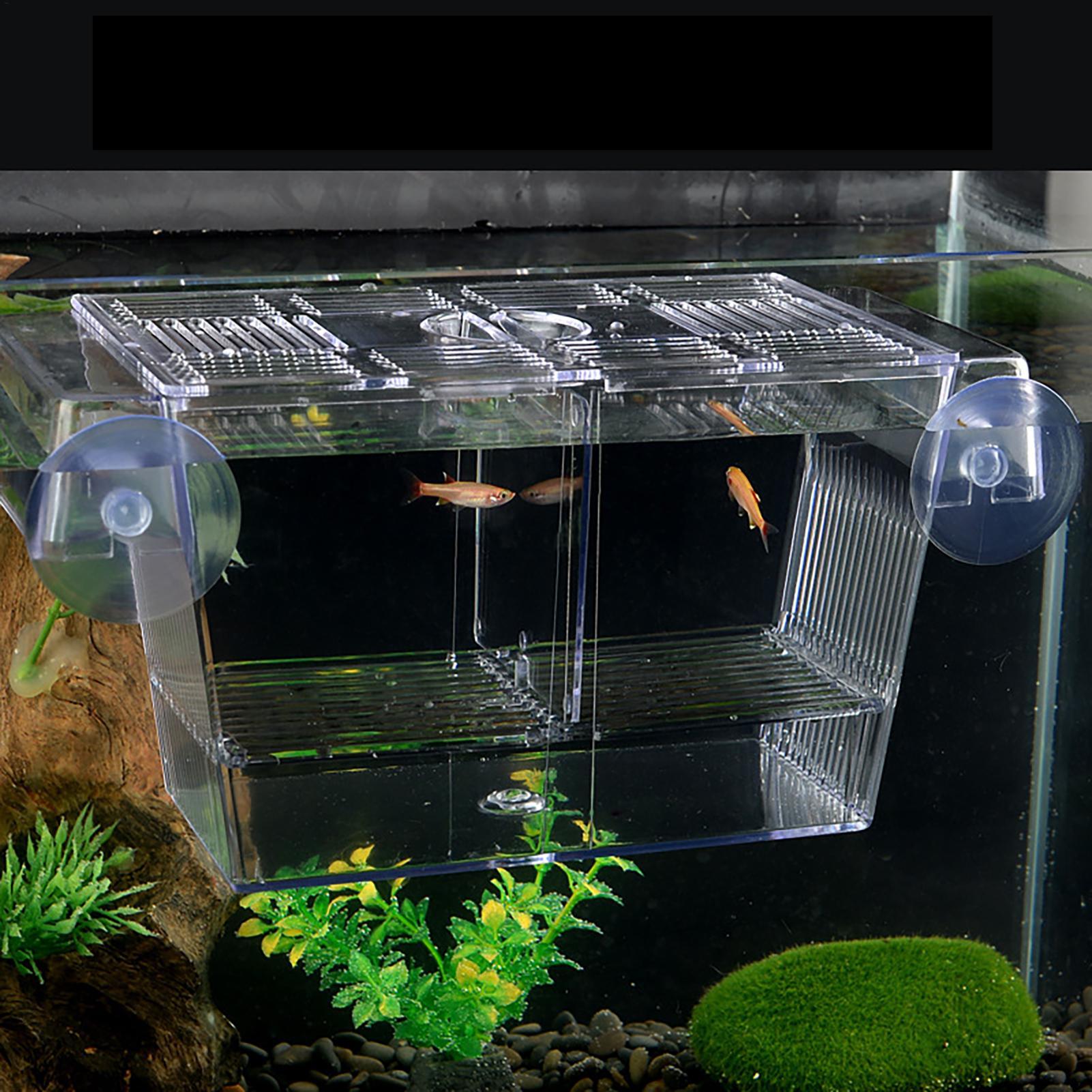 Box per Allevamento Pesci, Sca - Fish Toy In Aquarium recensione e prezzo