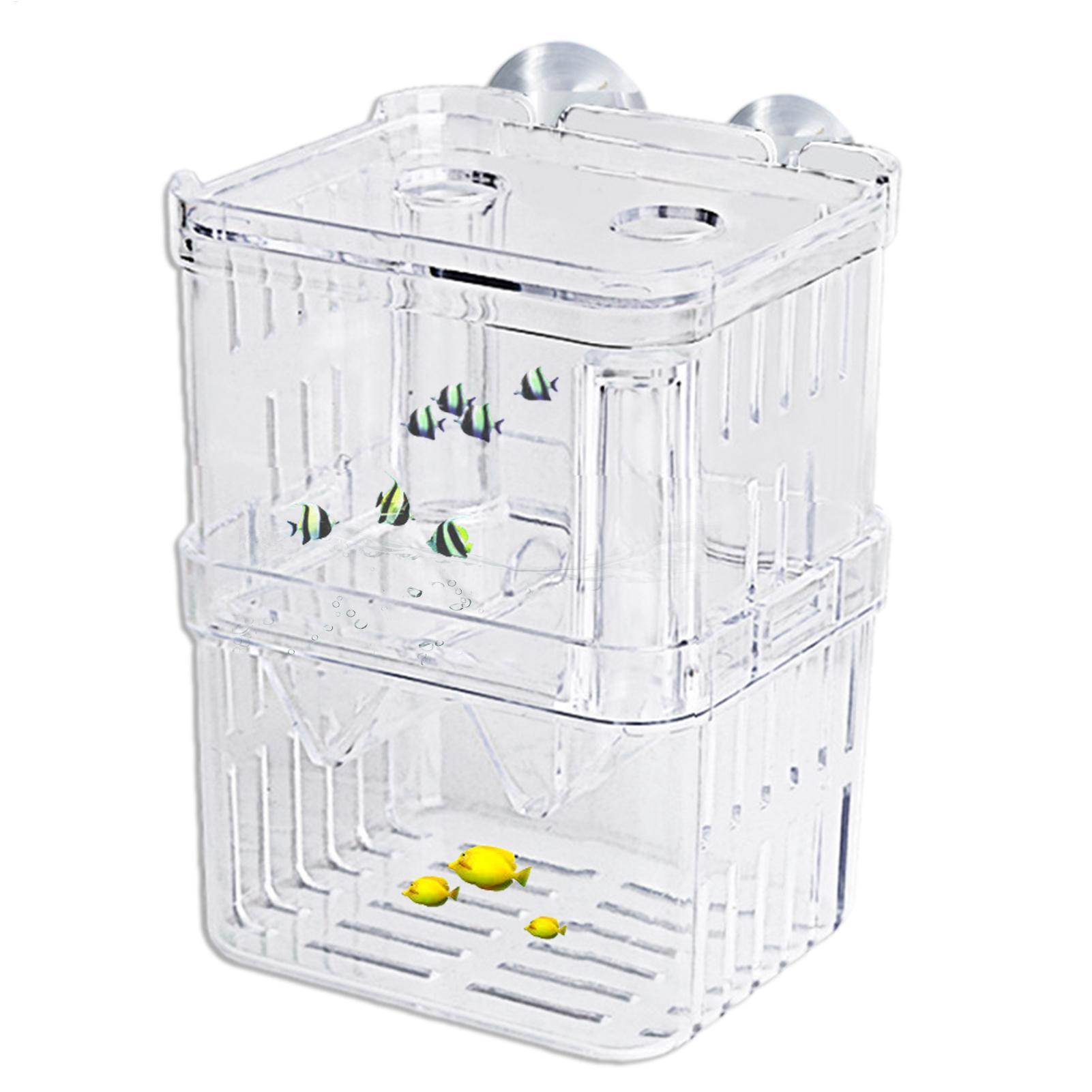 Box per Allevamento Pesci, Sca - Fish Toy In Aquarium recensione e prezzo