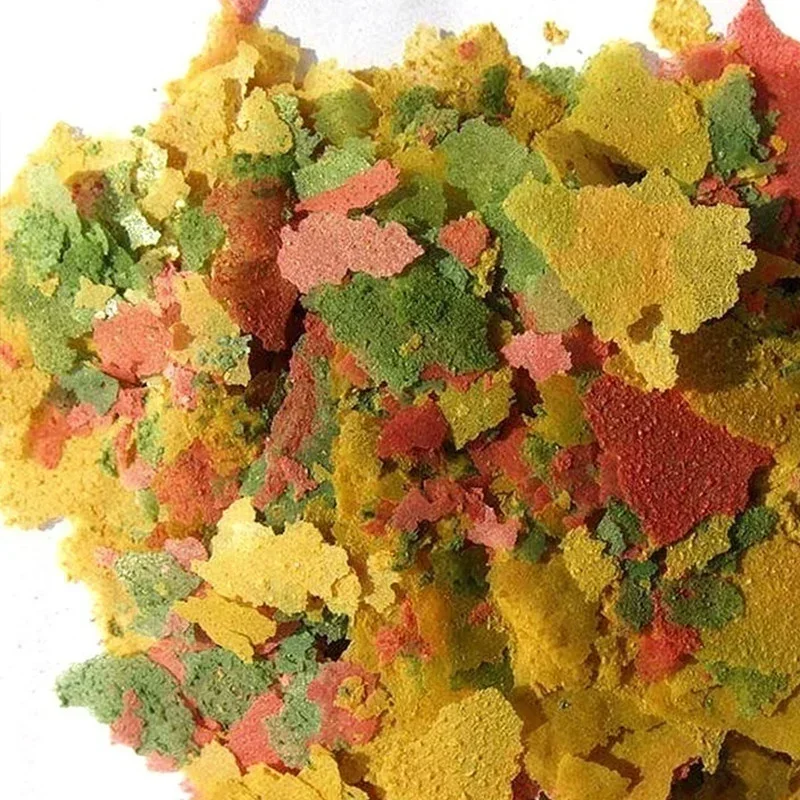 100 g/pacco Pesci ornamentali  - Aquarium Fish Price recensione e prezzo