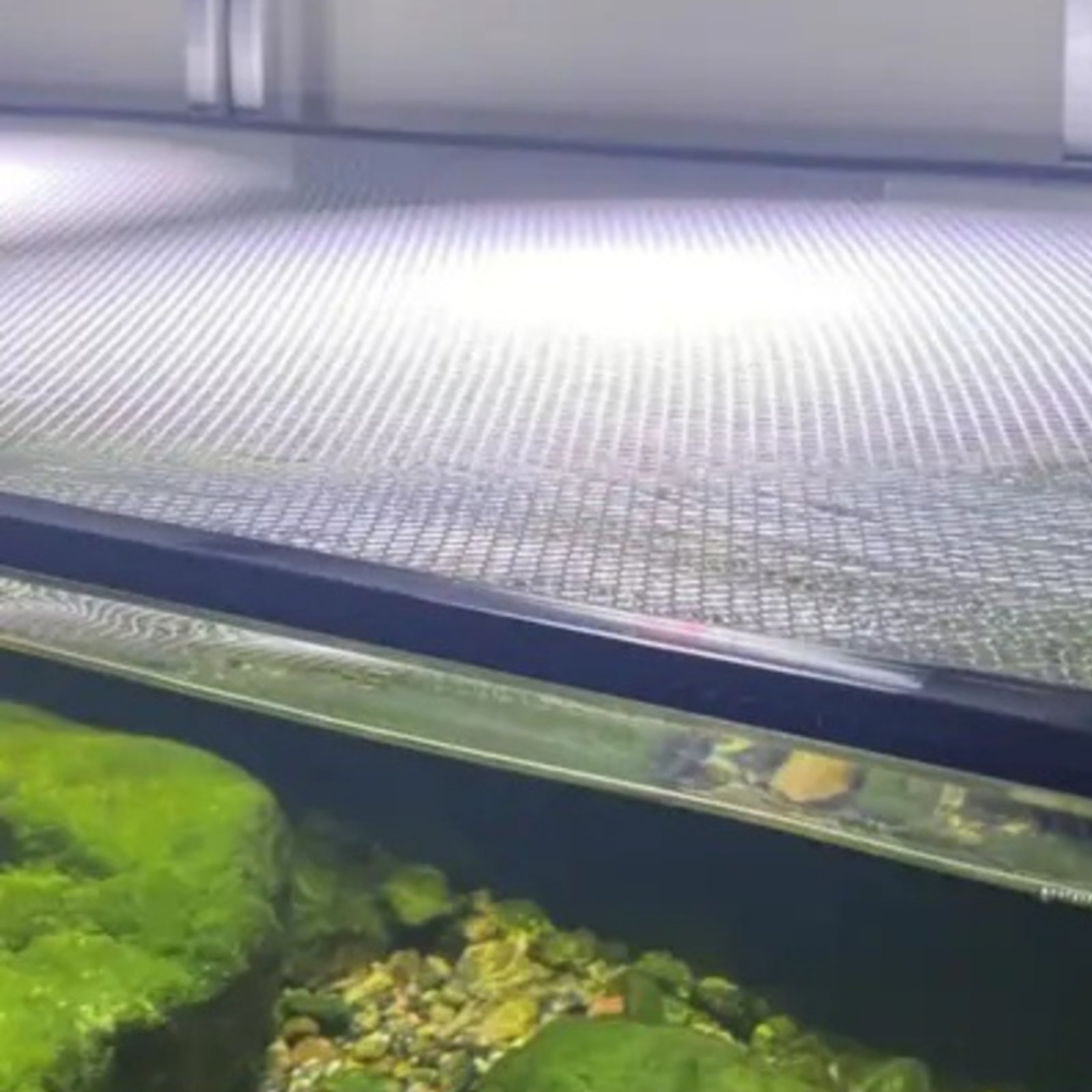 Copertura a Rete per Acquario, - Aquarium Fish Jumping recensione e prezzo