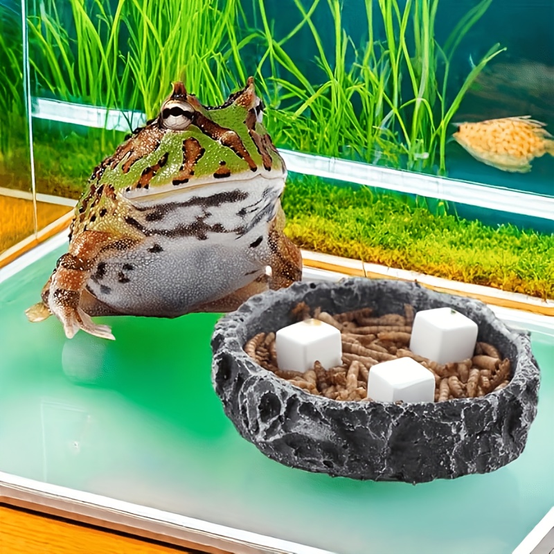6 pezzi acquario calcio blocco - Aquarium Fish Background recensione e prezzo